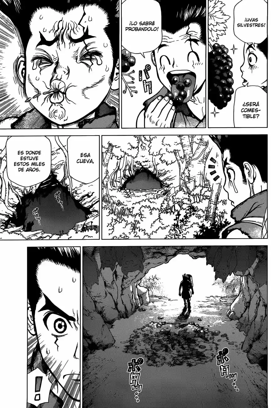 Dr.Stone - Capítulo 2 - Página 5 - LectorTMOo