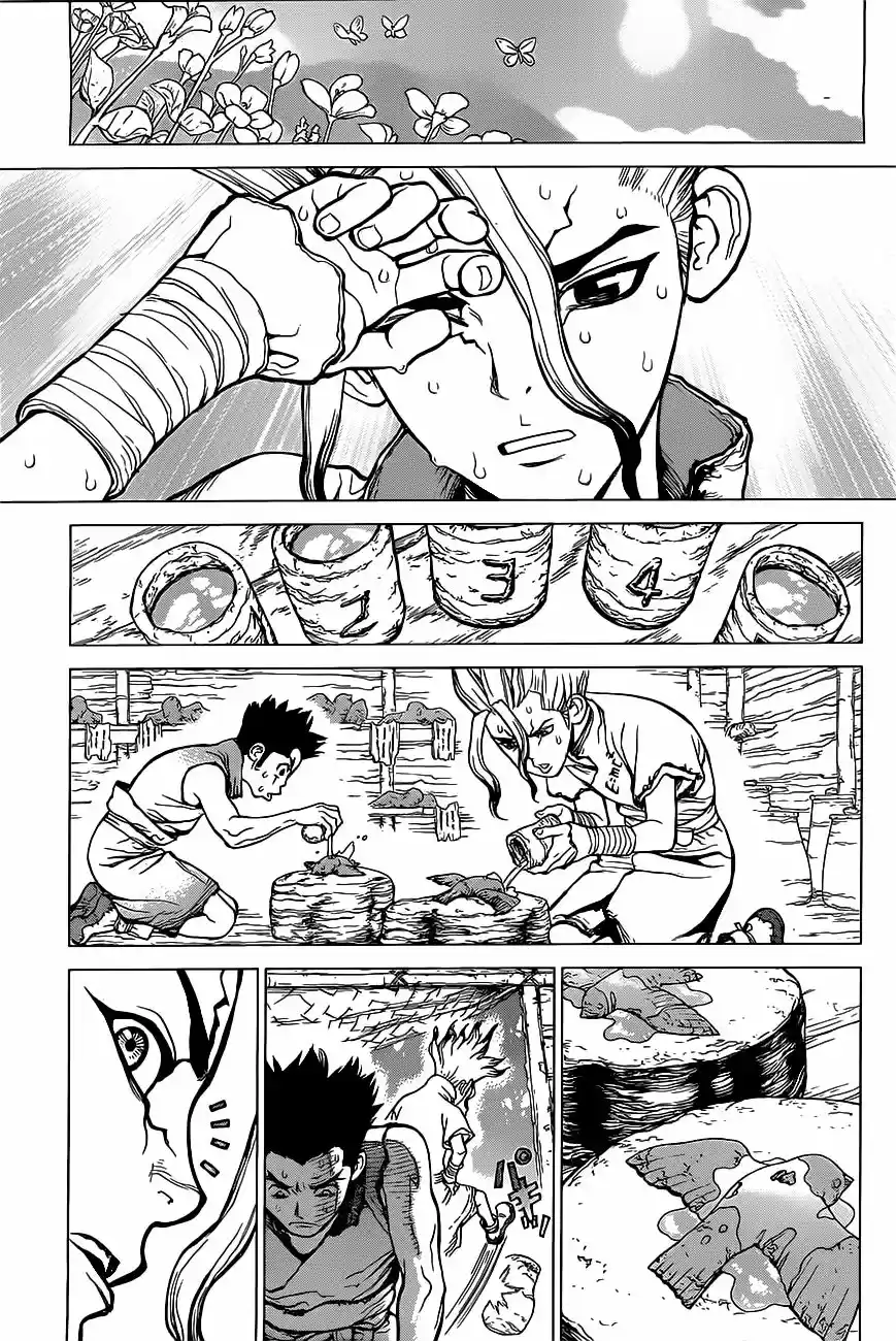 Dr.Stone - Capítulo 2 - Página 19 - LectorTMOo