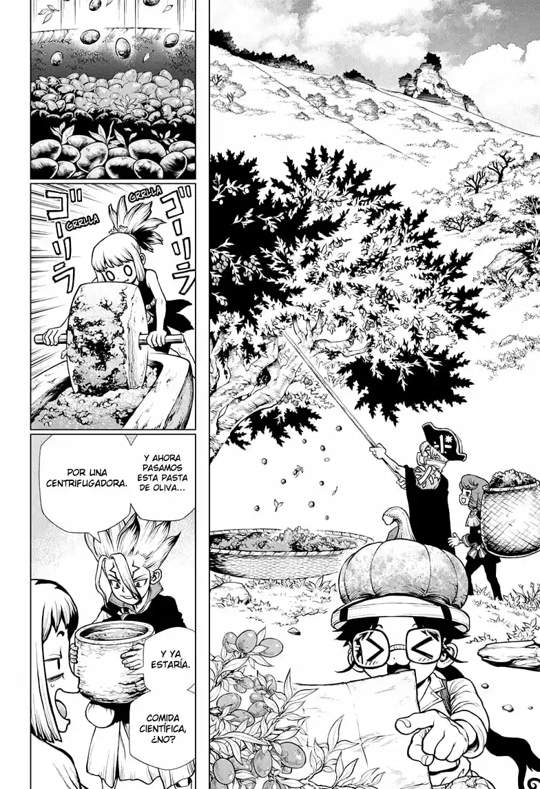 Dr.Stone - Capítulo 202 - Página 8 - LectorTMOo