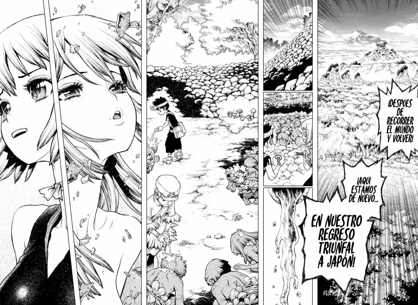 Dr.Stone - Capítulo 212 - Página 9 - LectorTMOo