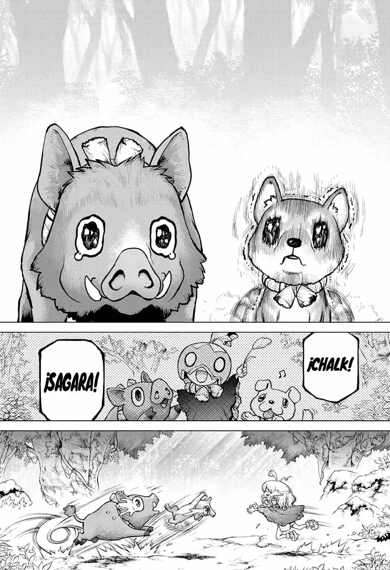 Dr.Stone - Capítulo 212 - Página 13 - LectorTMOo