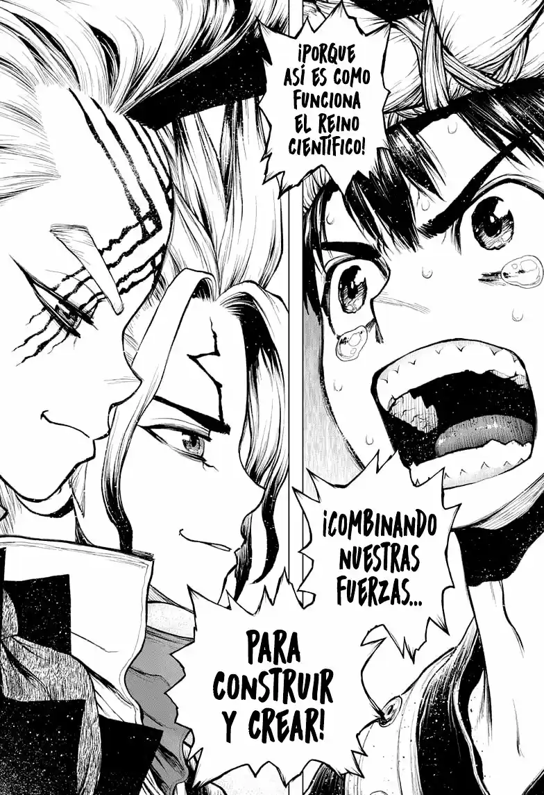 Dr.Stone - Capítulo 217 - Página 14 - LectorTMOo