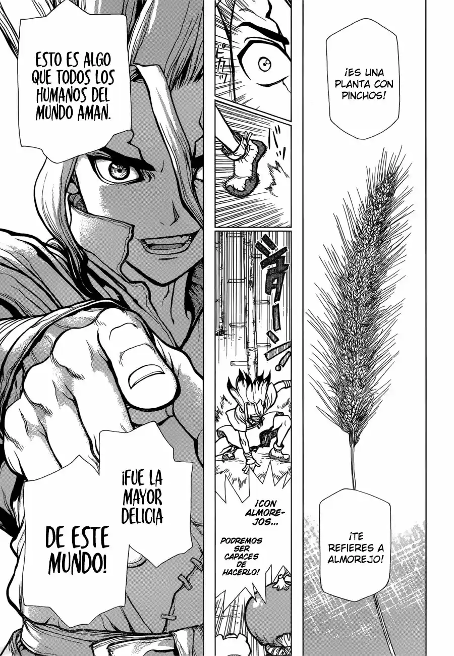 Dr.Stone - Capítulo 22 - Página 9 - LectorTMOo