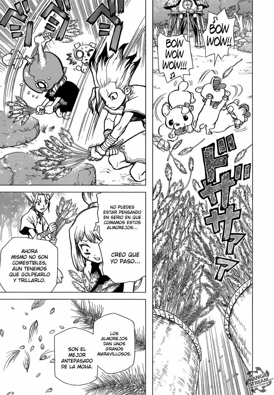 Dr.Stone - Capítulo 22 - Página 11 - LectorTMOo