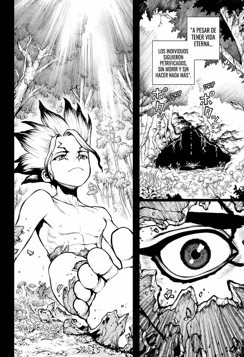 Dr.Stone - Capítulo 229 - Página 17 - LectorTMOo
