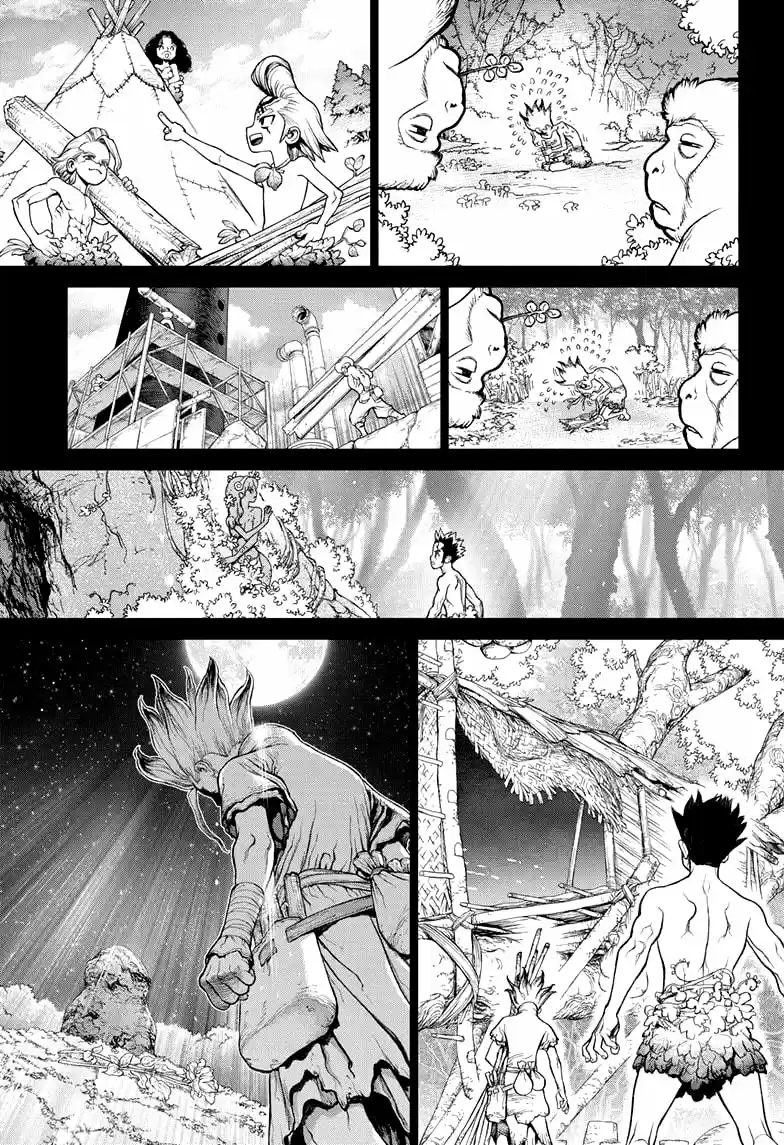 Dr.Stone - Capítulo 229 - Página 18 - LectorTMOo