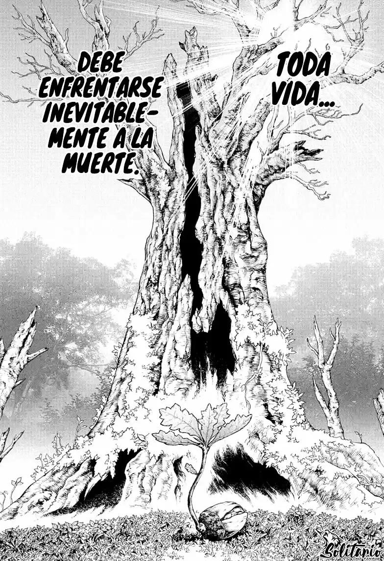 Dr.Stone - Capítulo 230 - Página 7 - LectorTMOo