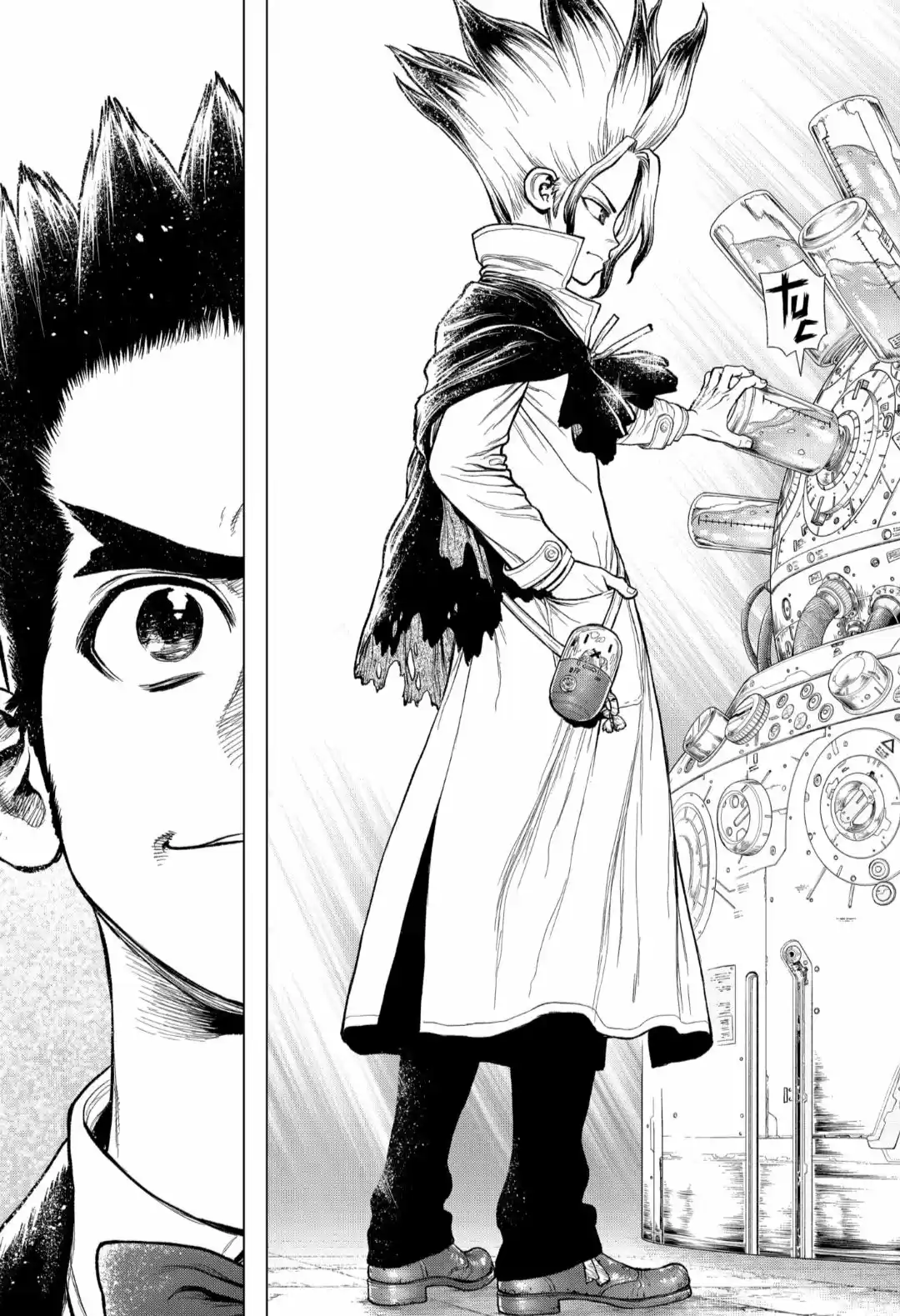 Dr.Stone - Capítulo 232 - Página 13 - LectorTMOo