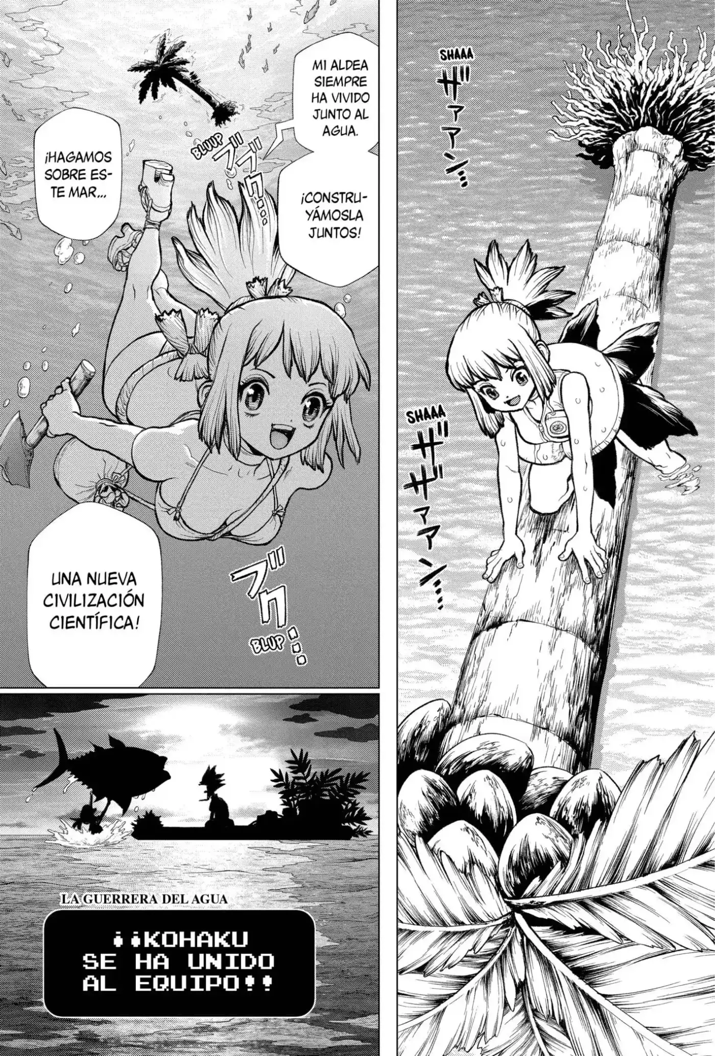 Dr.Stone - Capítulo 233.5 - Página 23 - LectorTMOo