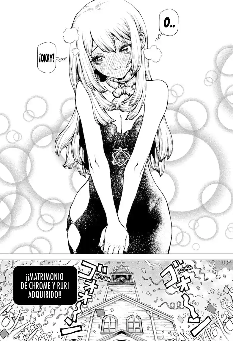 Dr.Stone - Capítulo 234 - Página 27 - LectorTMOo