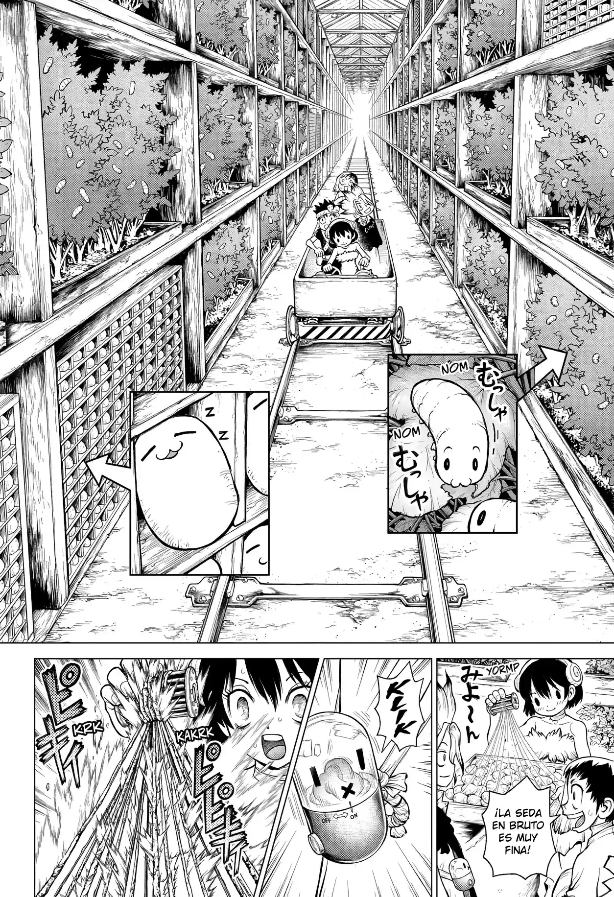 Dr.Stone - Capítulo 235 - Página 21 - LectorTMOo