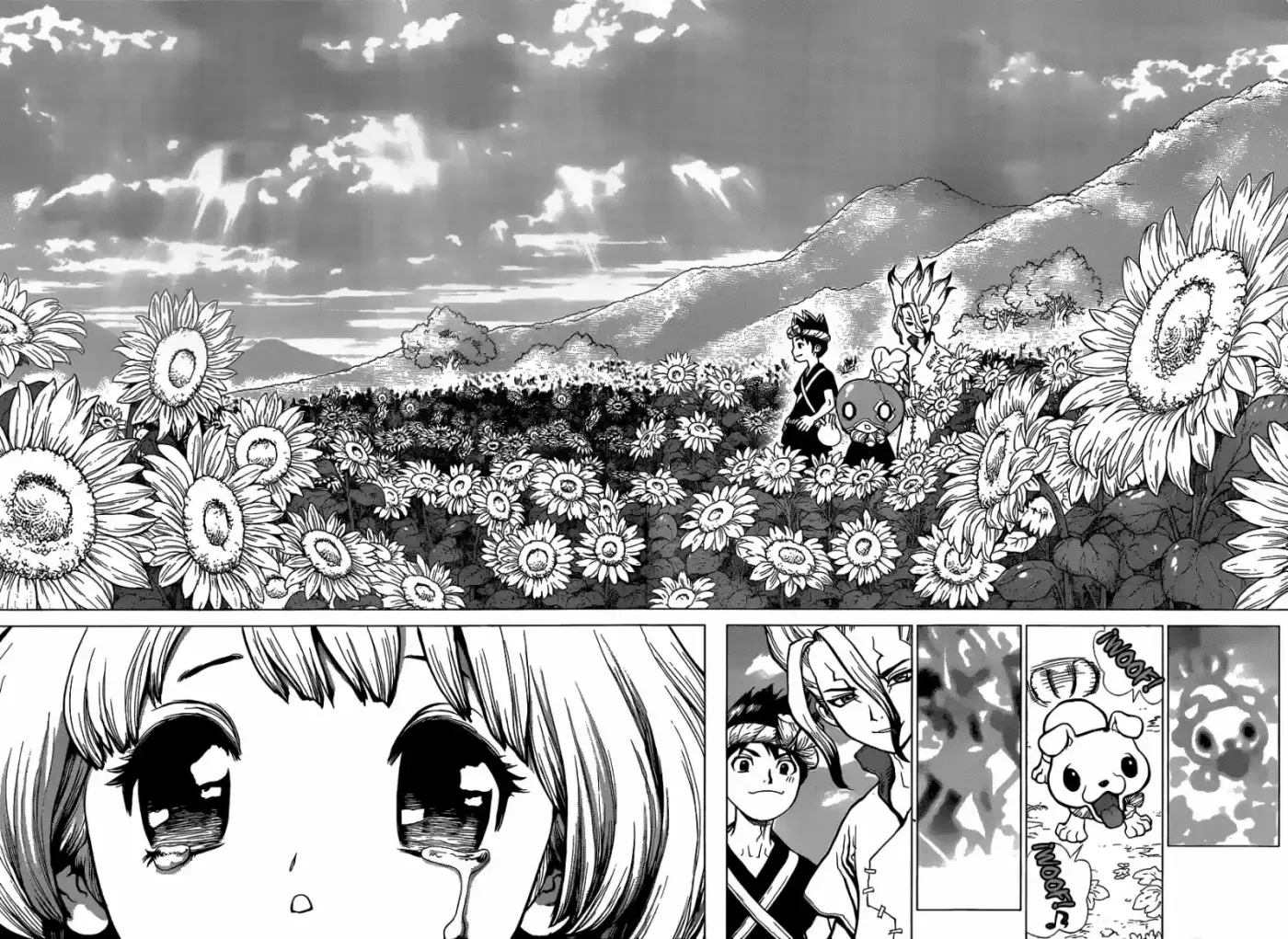 Dr.Stone - Capítulo 28 - Página 14 - LectorTMOo
