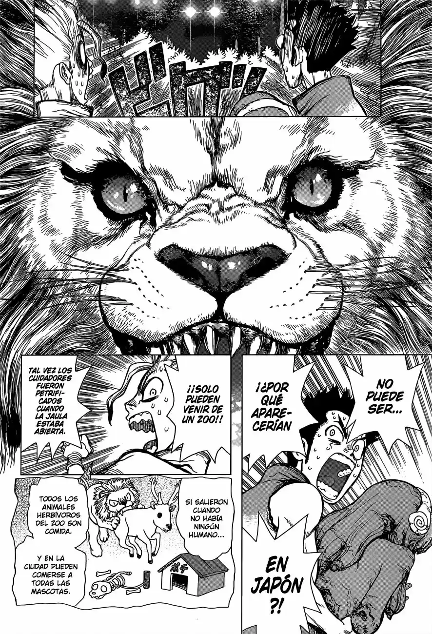 Dr.Stone - Capítulo 3 - Página 6 - LectorTMOo