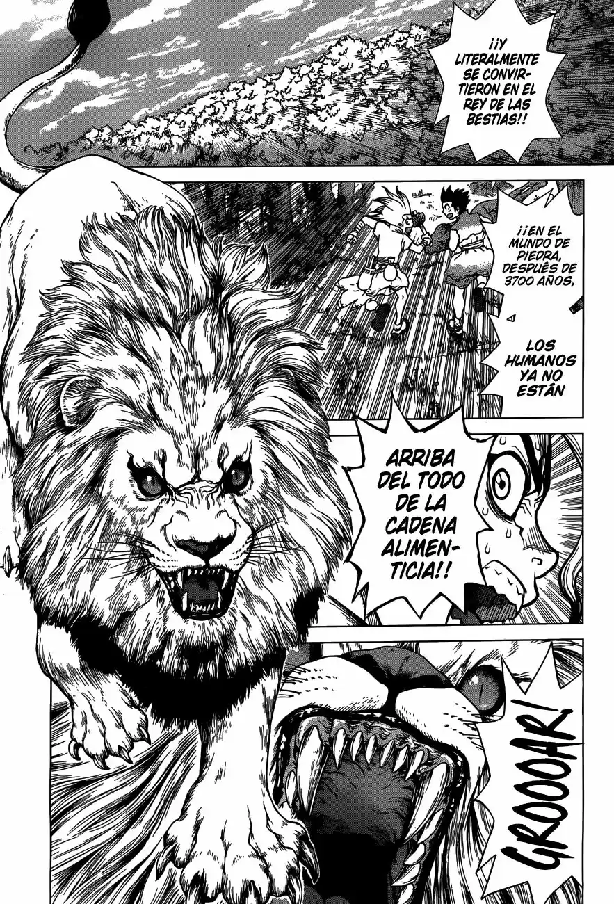 Dr.Stone - Capítulo 3 - Página 7 - LectorTMOo