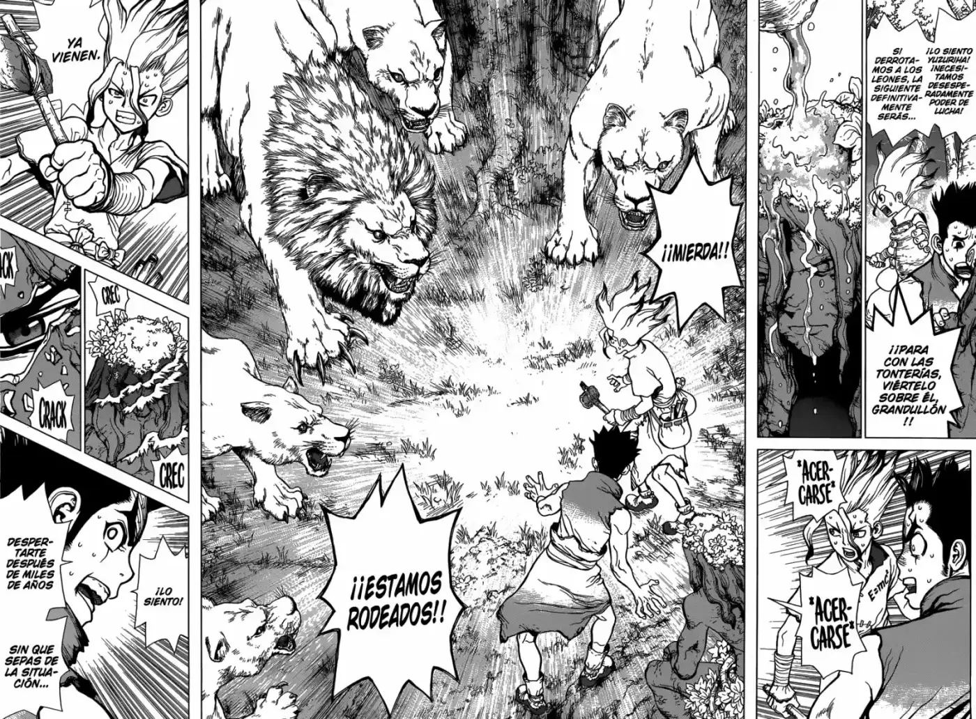 Dr.Stone - Capítulo 3 - Página 14 - LectorTMOo
