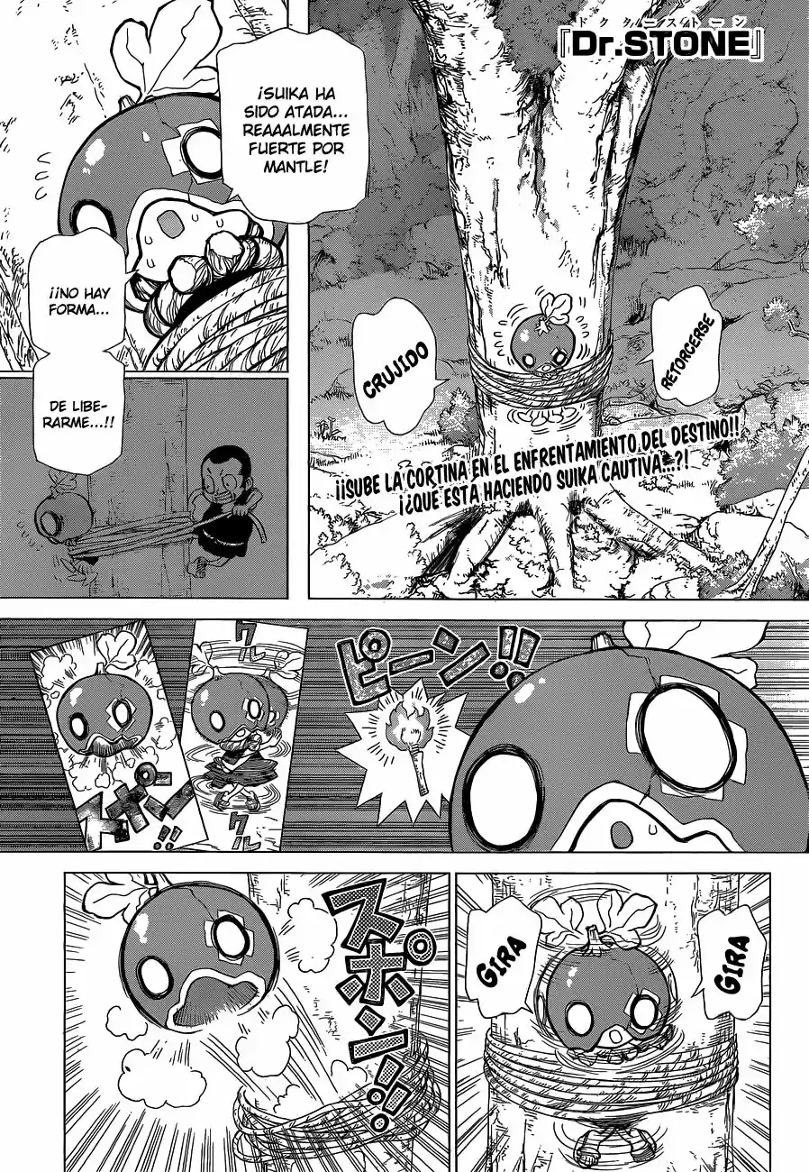 Dr.Stone - Capítulo 35 - Página 1 - LectorTMOo