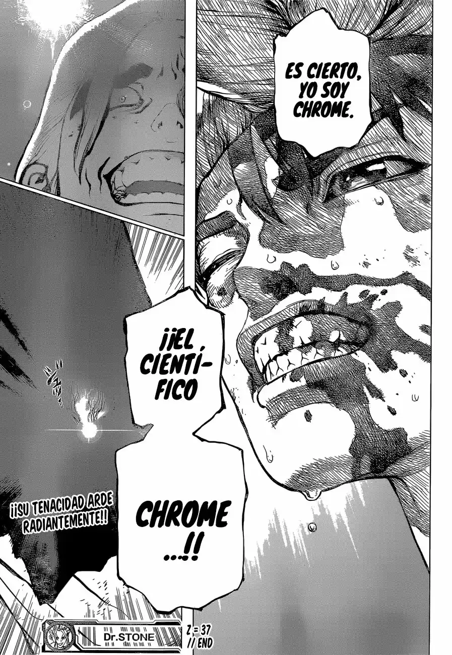 Dr.Stone - Capítulo 37 - Página 18 - LectorTMOo