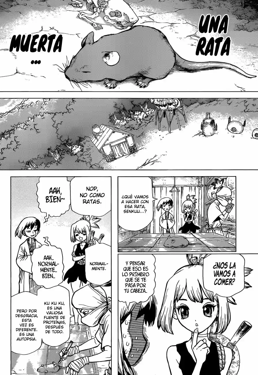 Dr.Stone - Capítulo 41 - Página 4 - LectorTMOo