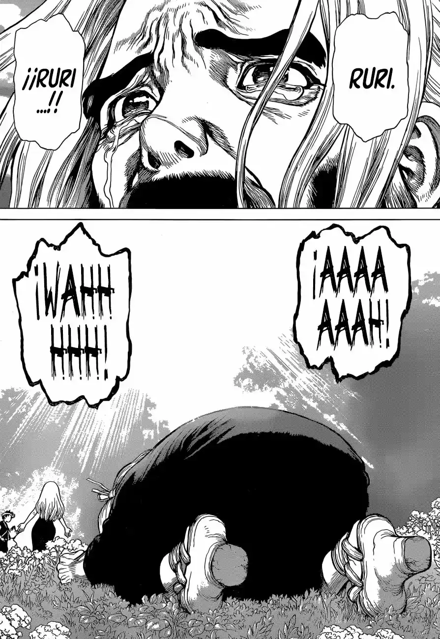 Dr.Stone - Capítulo 41 - Página 15 - LectorTMOo