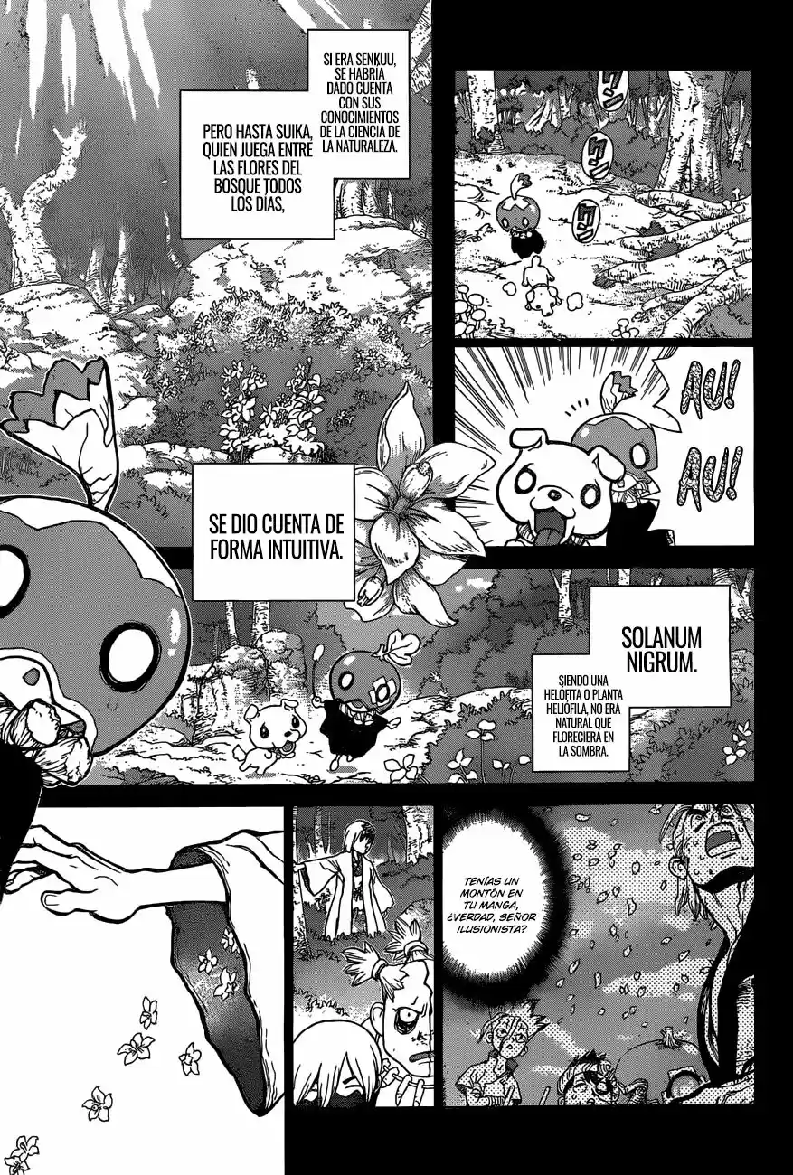 Dr.Stone - Capítulo 48 - Página 15 - LectorTMOo