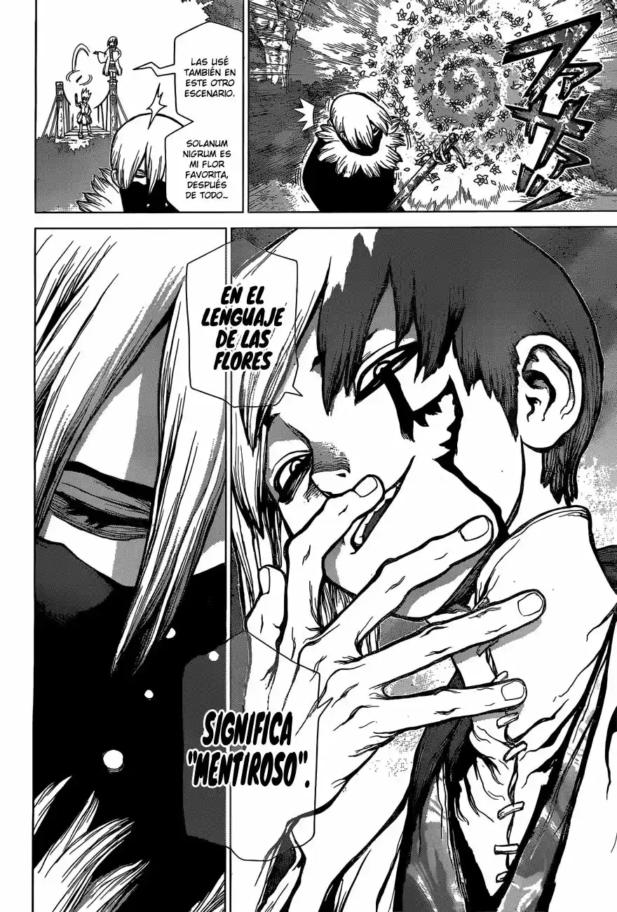 Dr.Stone - Capítulo 48 - Página 17 - LectorTMOo