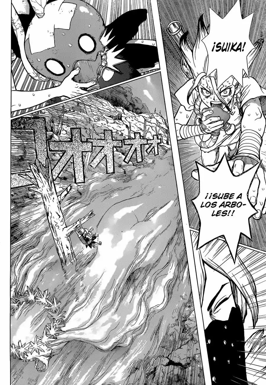 Dr.Stone - Capítulo 49 - Página 11 - LectorTMOo