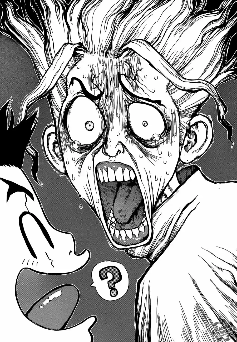 Dr.Stone - Capítulo 5 - Página 2 - LectorTMOo