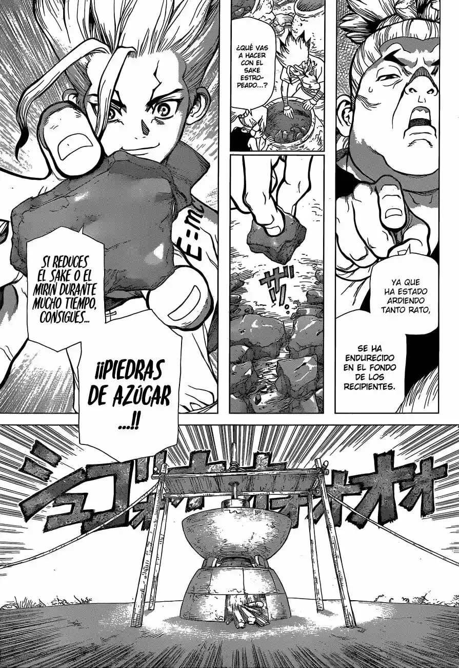 Dr.Stone - Capítulo 51 - Página 9 - LectorTMOo