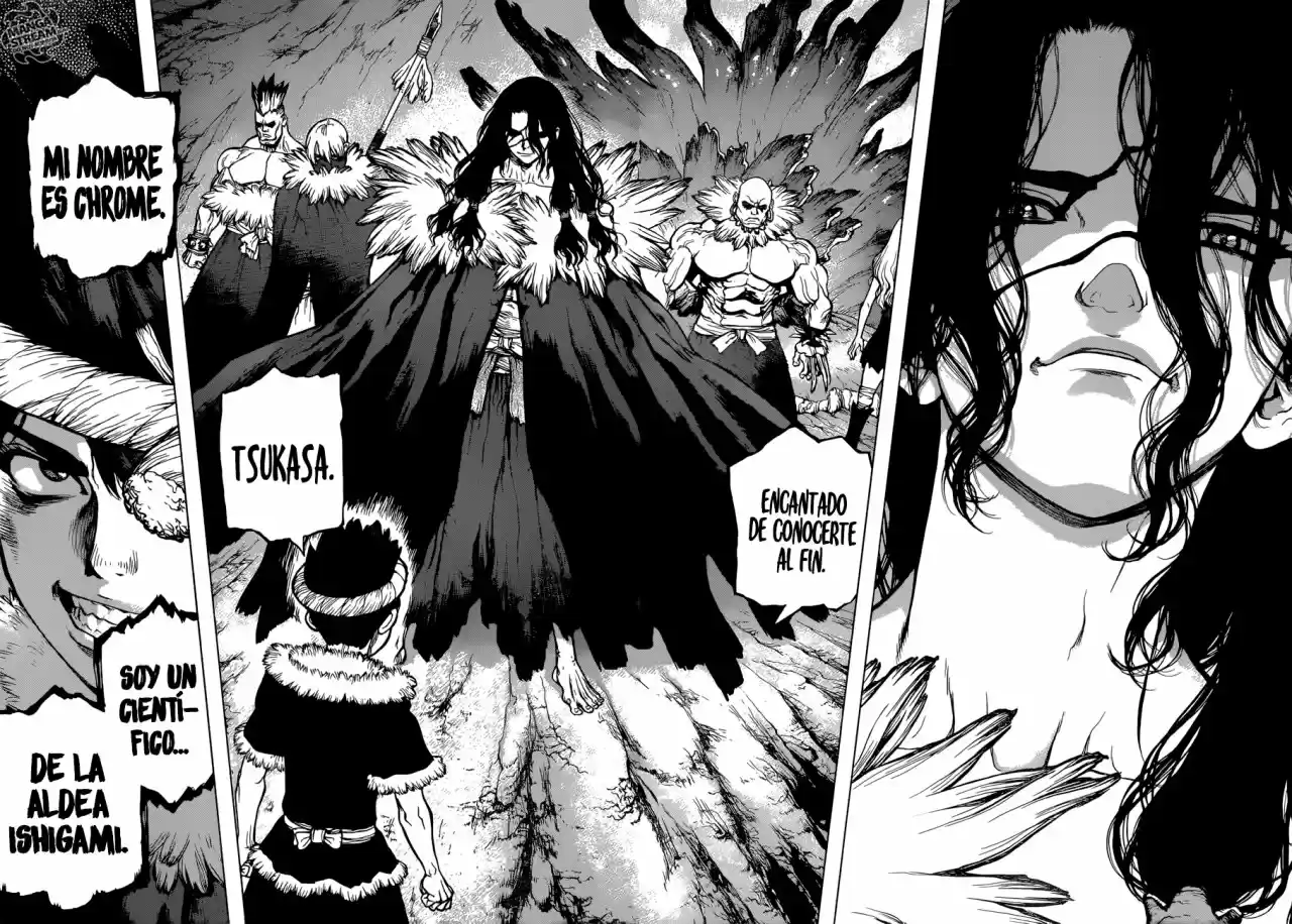 Dr.Stone - Capítulo 67 - Página 12 - LectorTMOo