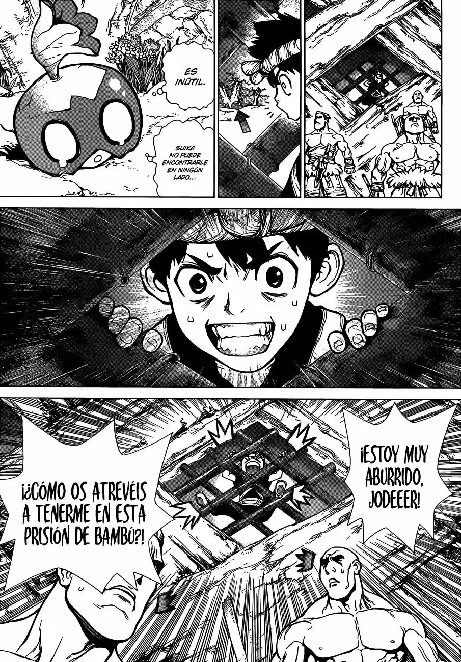 Dr.Stone - Capítulo 69 - Página 14 - LectorTMOo