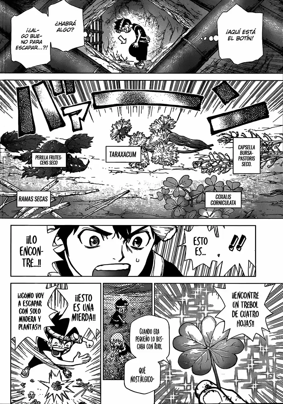 Dr.Stone - Capítulo 71 - Página 7 - LectorTMOo