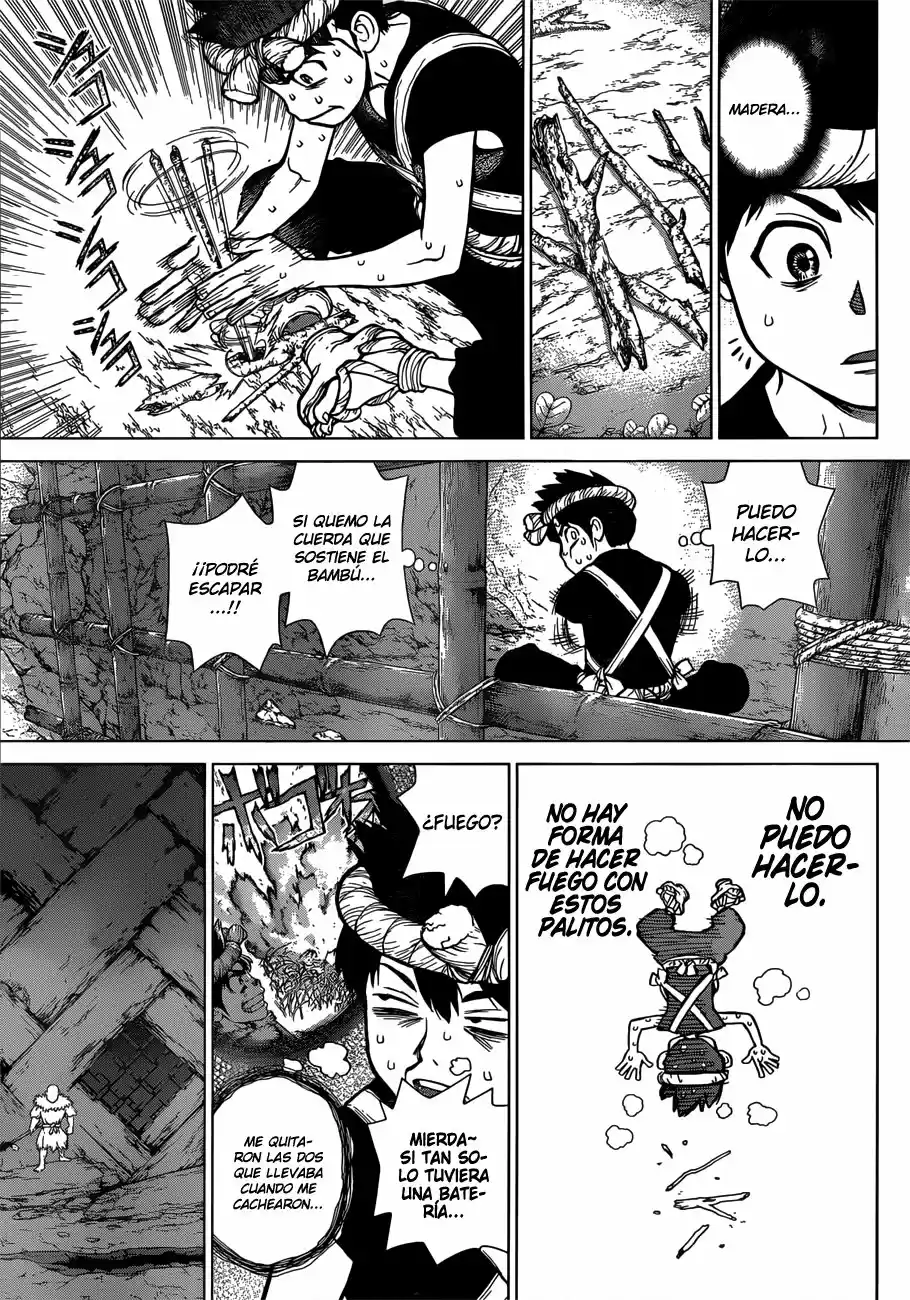 Dr.Stone - Capítulo 71 - Página 8 - LectorTMOo