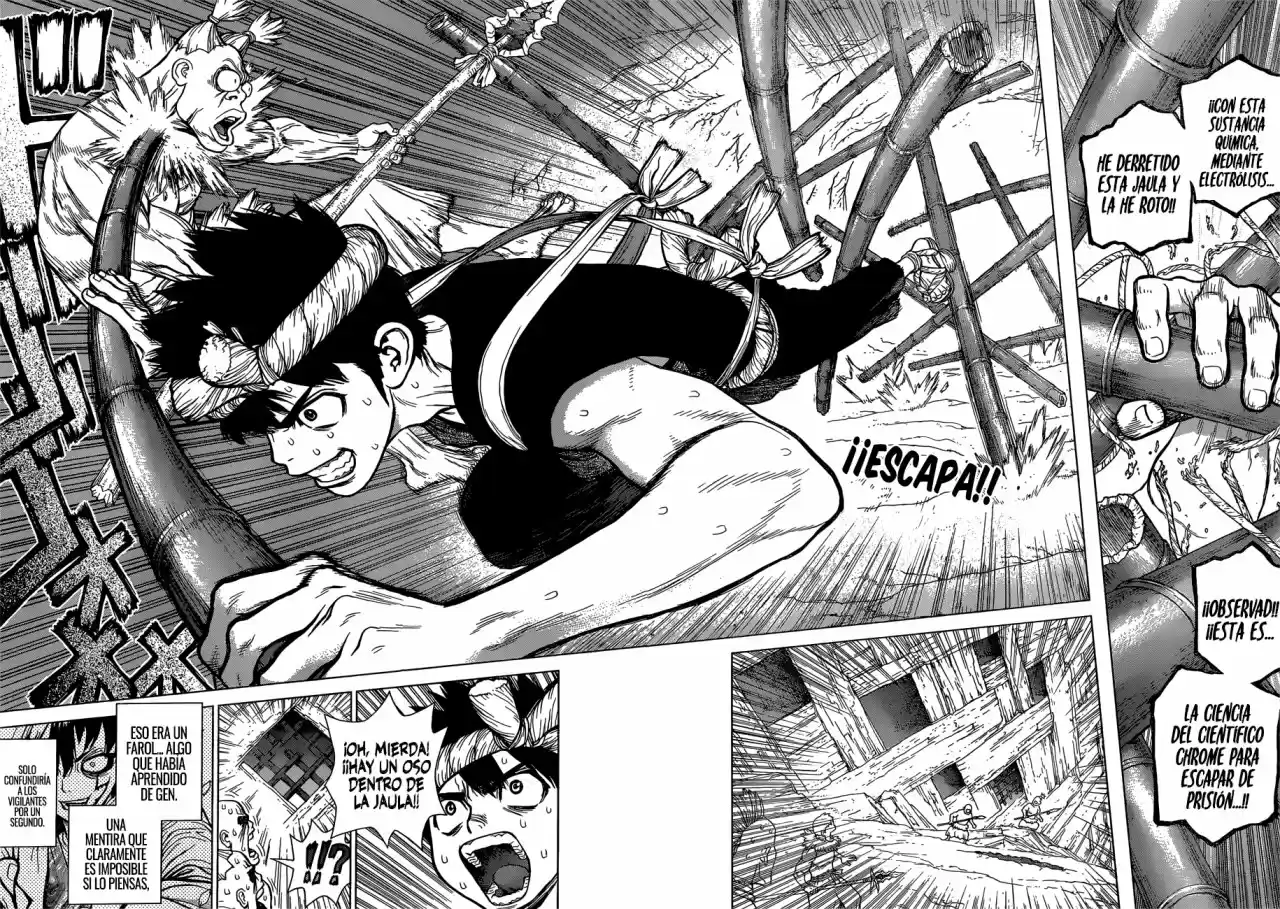Dr.Stone - Capítulo 72 - Página 2 - LectorTMOo