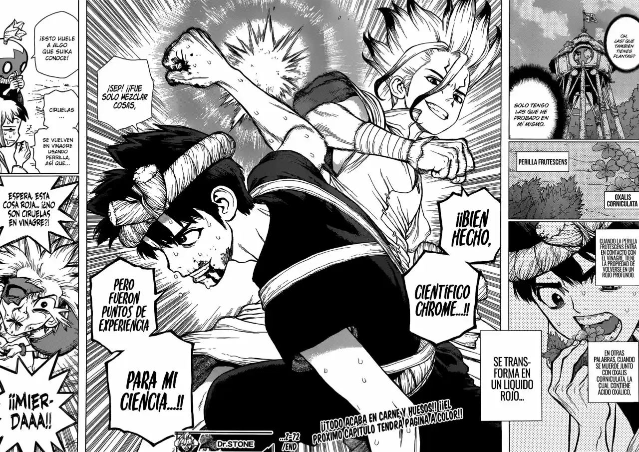 Dr.Stone - Capítulo 72 - Página 16 - LectorTMOo
