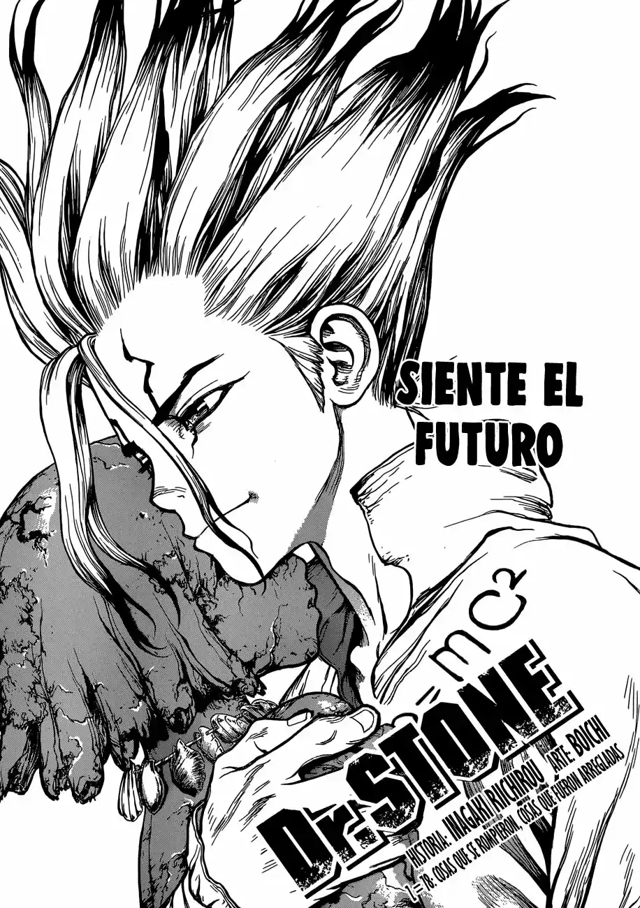 Dr.Stone - Capítulo 78 - Página 1 - LectorTMOo