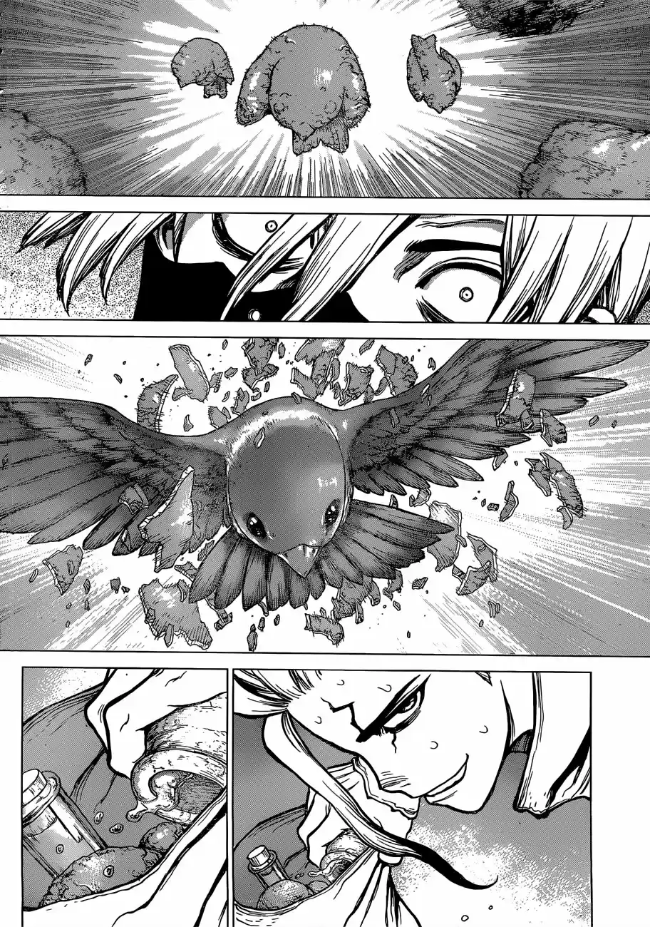 Dr.Stone - Capítulo 80 - Página 14 - LectorTMOo
