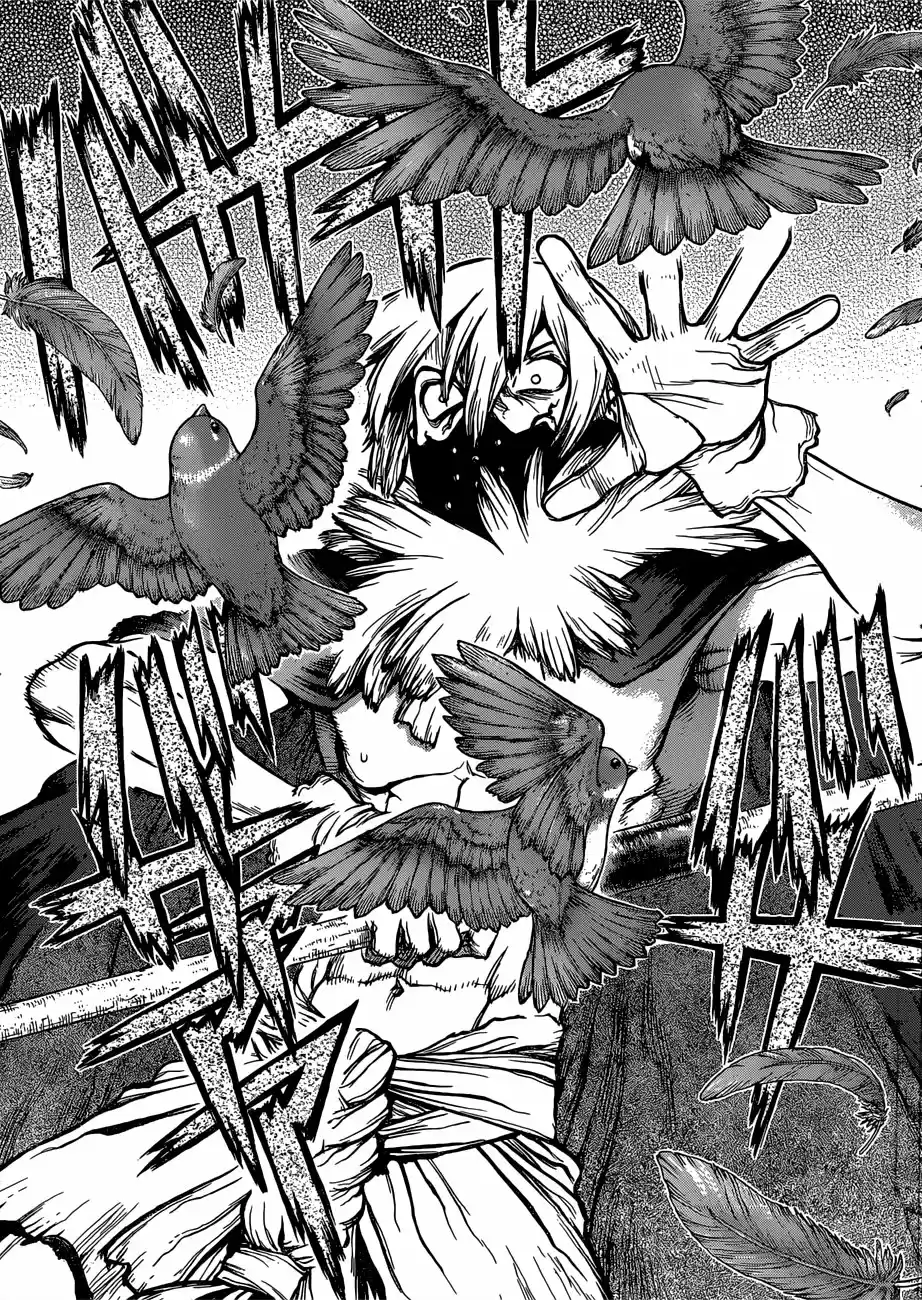 Dr.Stone - Capítulo 80 - Página 15 - LectorTMOo