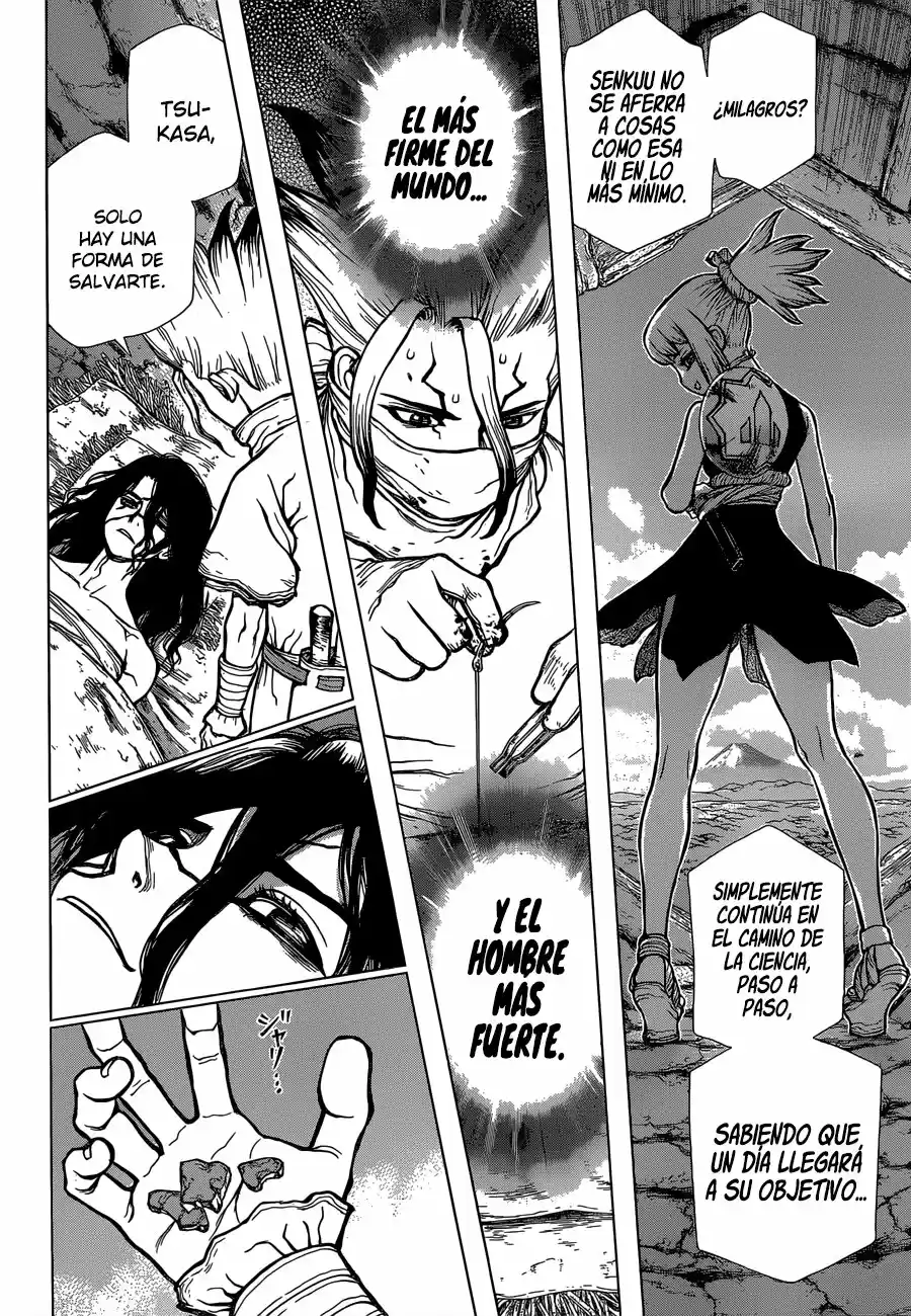 Dr.Stone - Capítulo 82 - Página 17 - LectorTMOo