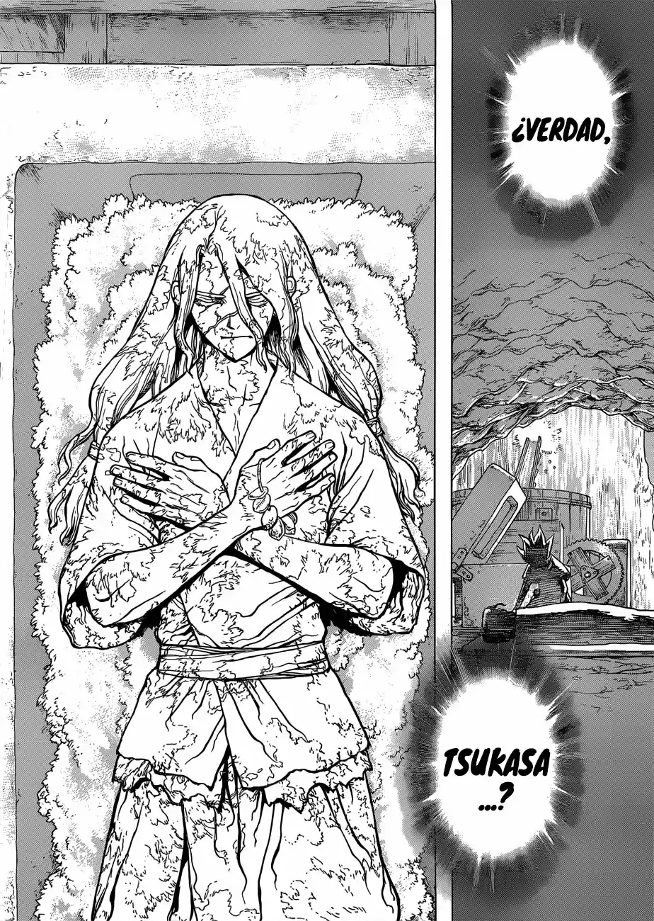 Dr.Stone - Capítulo 83 - Página 19 - LectorTMOo