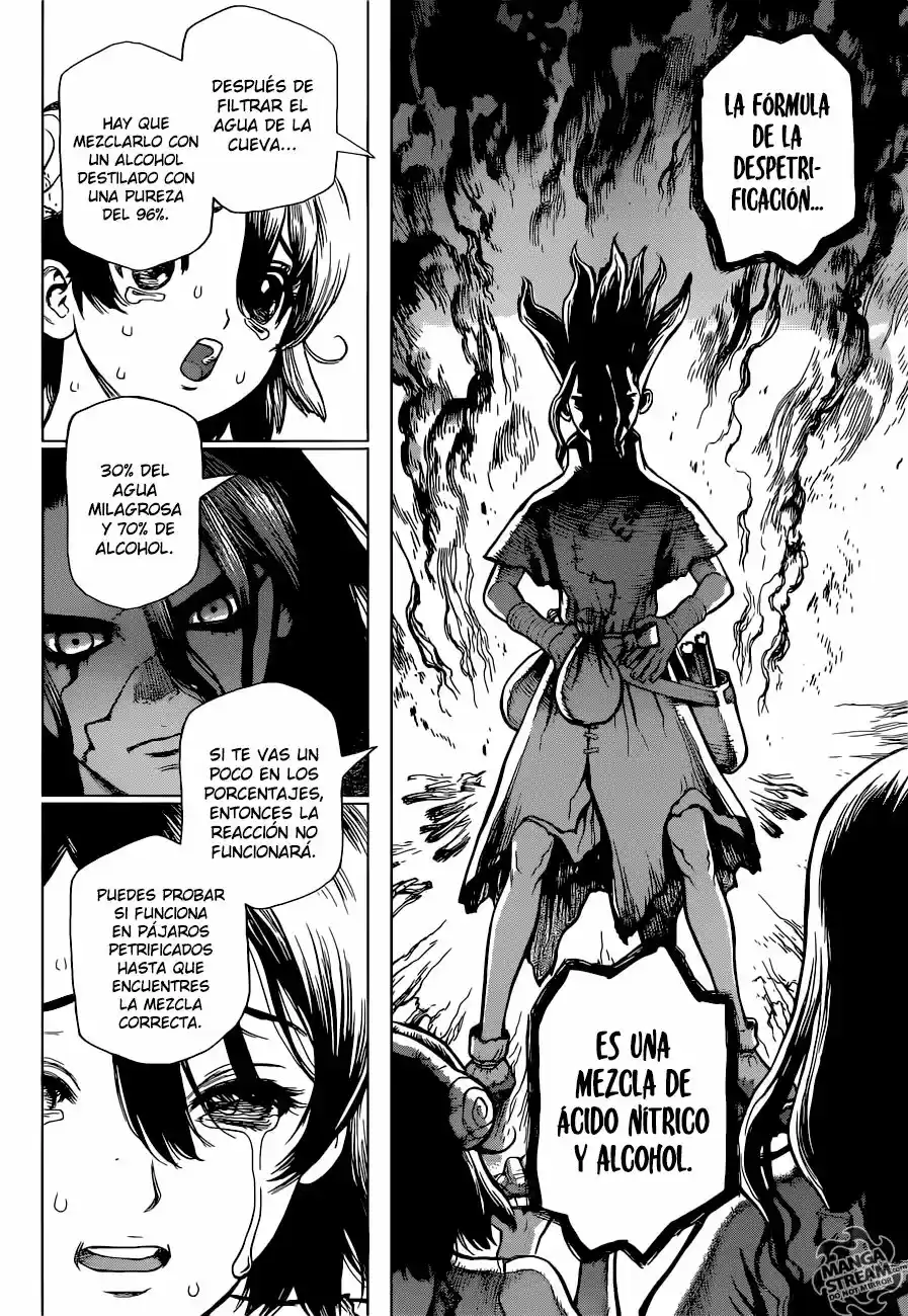 Dr.Stone - Capítulo 9 - Página 13 - LectorTMOo