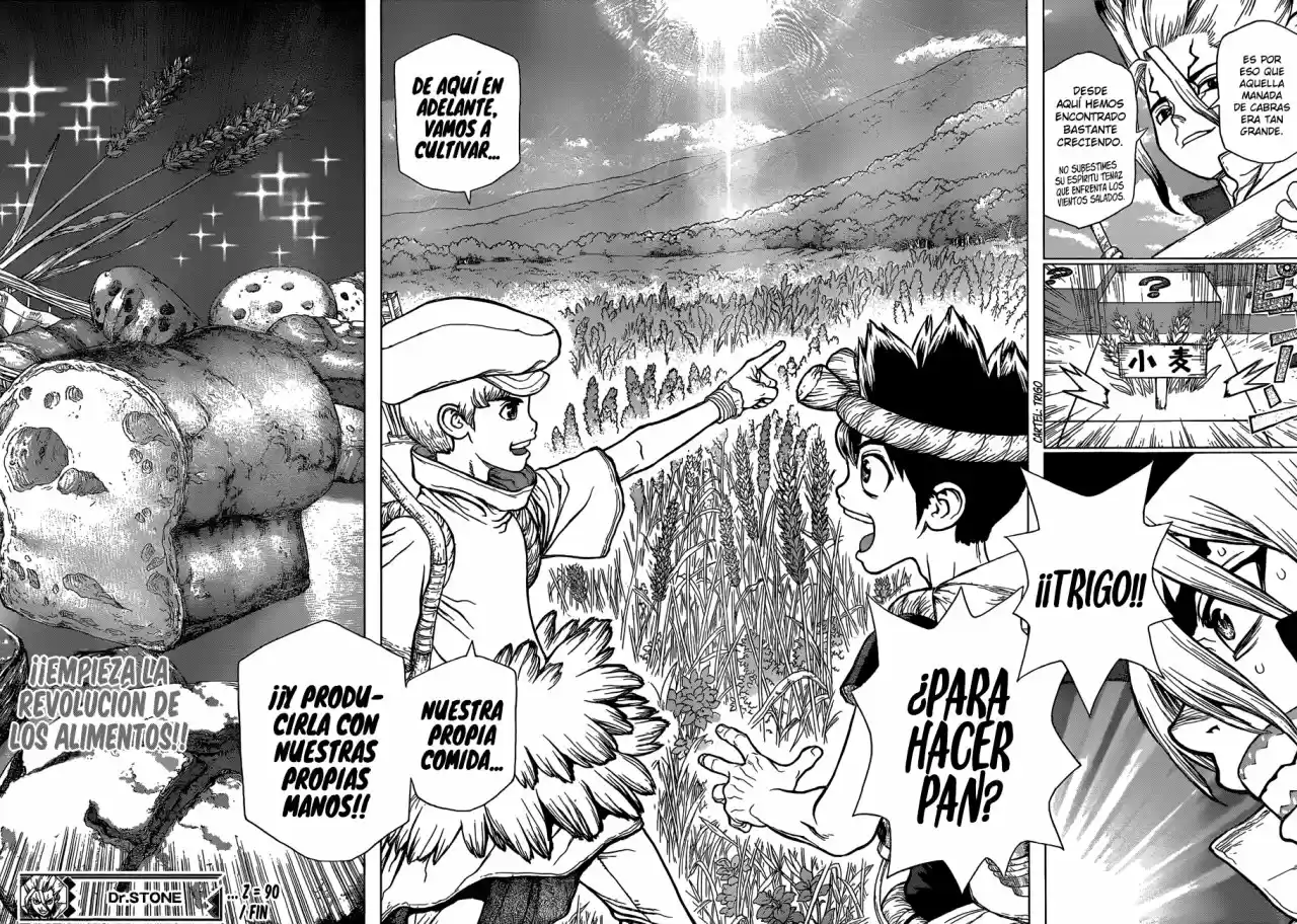 Dr.Stone - Capítulo 90 - Página 17 - LectorTMOo