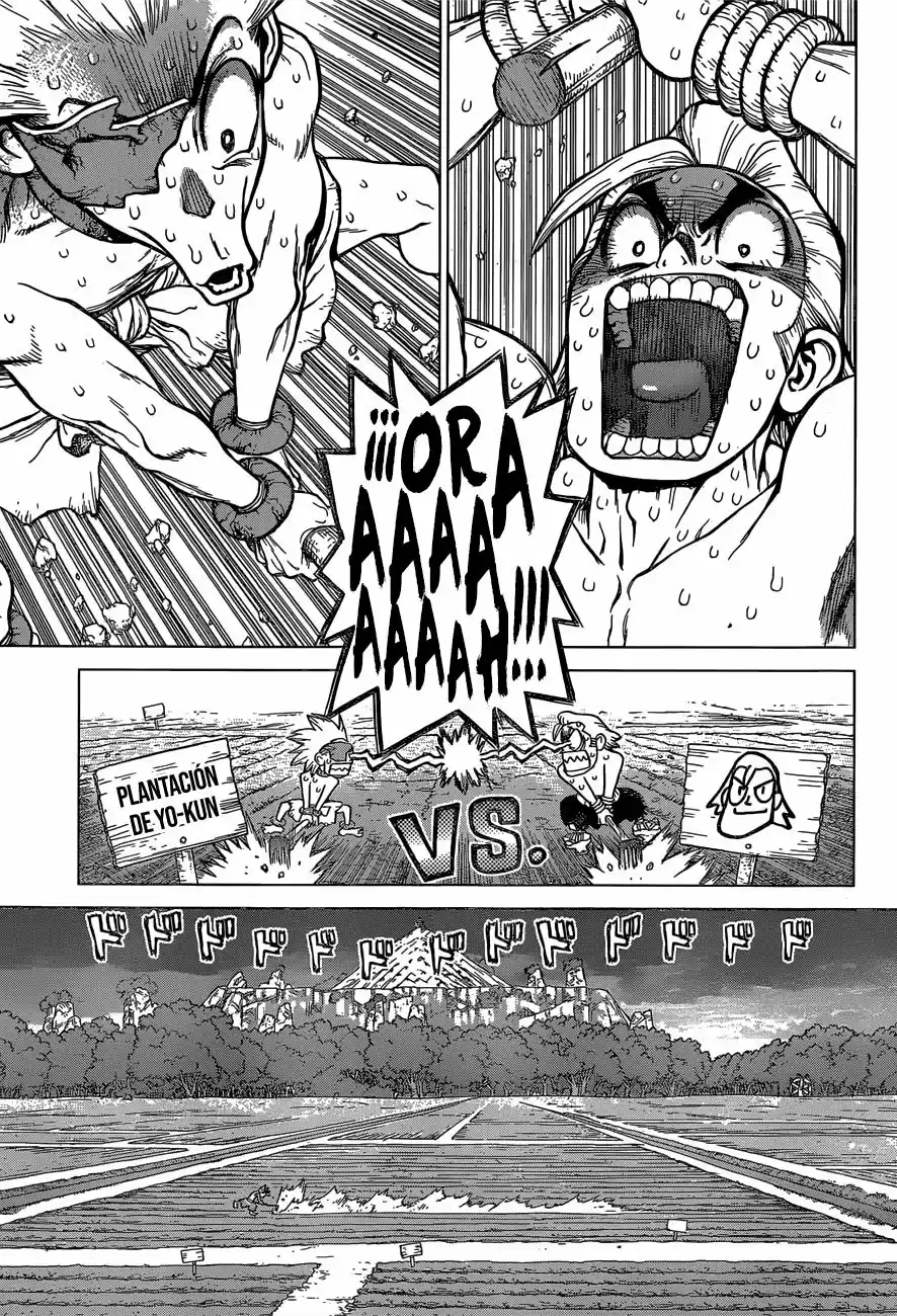 Dr.Stone - Capítulo 91 - Página 8 - LectorTMOo
