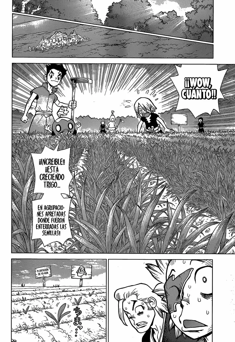 Dr.Stone - Capítulo 91 - Página 11 - LectorTMOo
