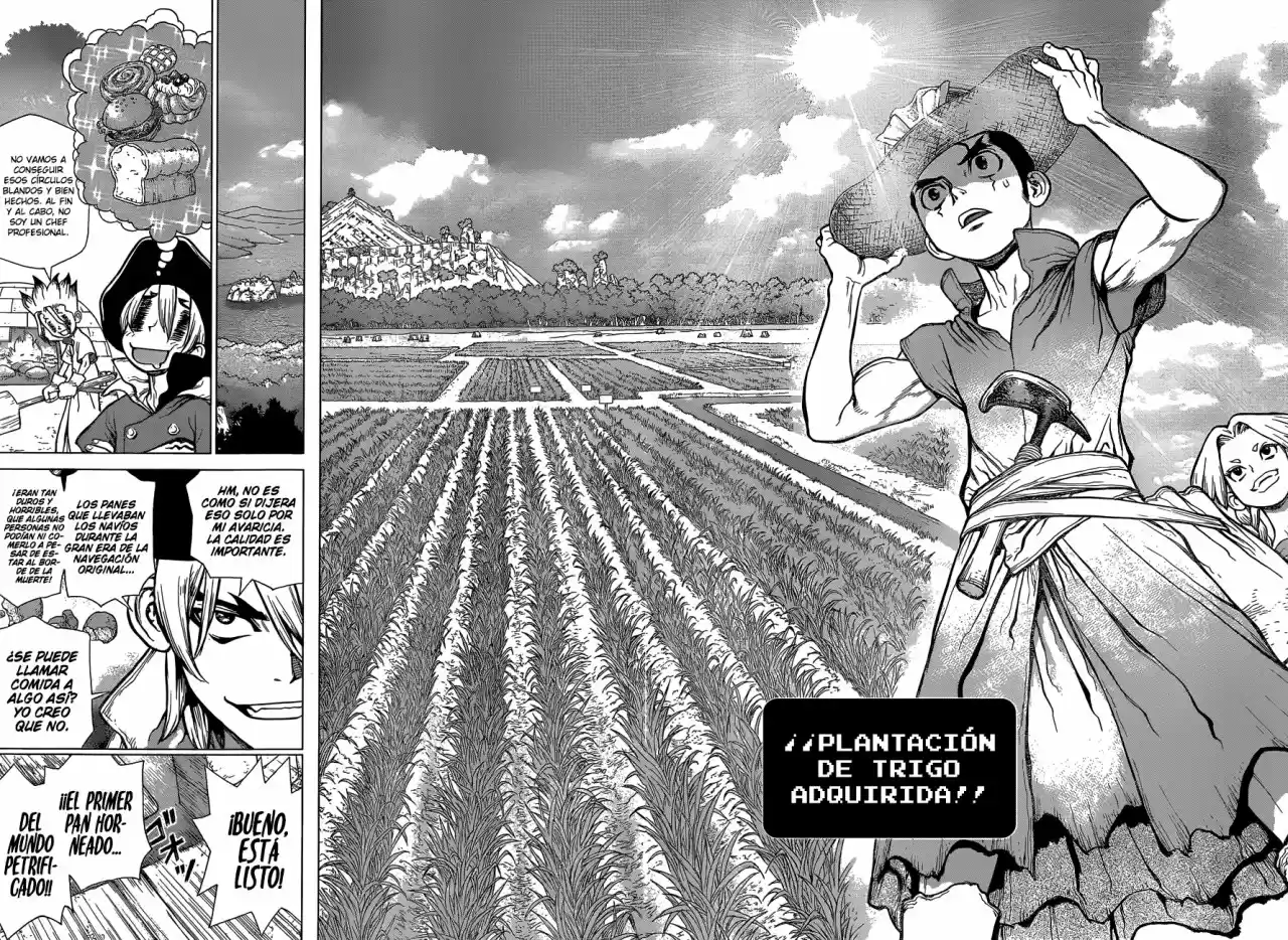 Dr.Stone - Capítulo 91 - Página 15 - LectorTMOo