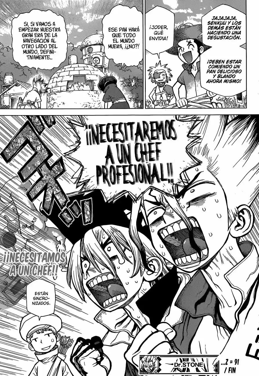 Dr.Stone - Capítulo 91 - Página 17 - LectorTMOo