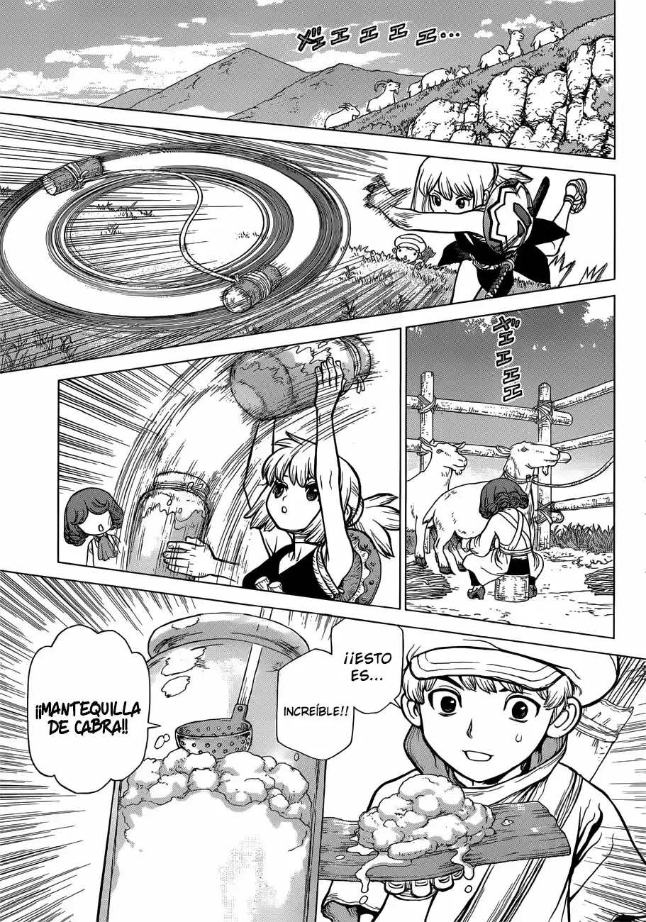 Dr.Stone - Capítulo 92 - Página 13 - LectorTMOo