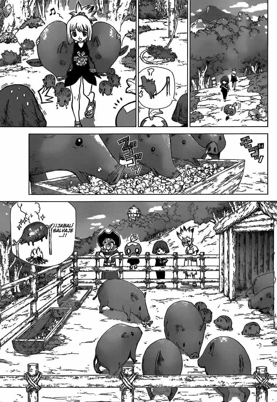 Dr.Stone - Capítulo 94 - Página 8 - LectorTMOo