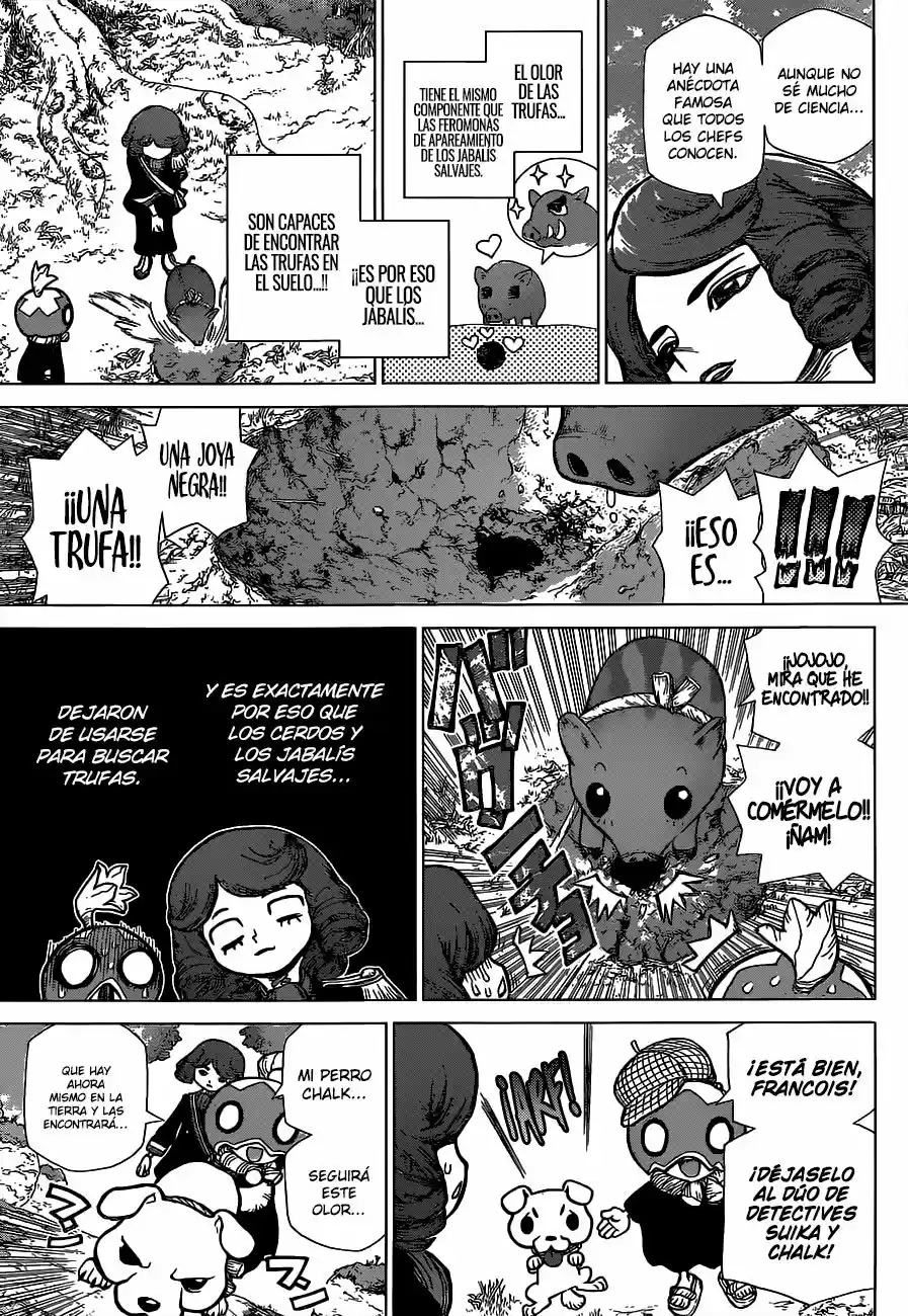 Dr.Stone - Capítulo 94 - Página 13 - LectorTMOo