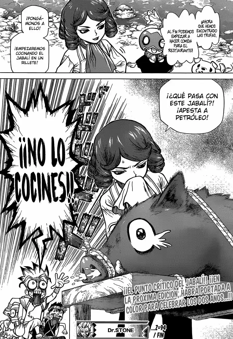 Dr.Stone - Capítulo 94 - Página 17 - LectorTMOo