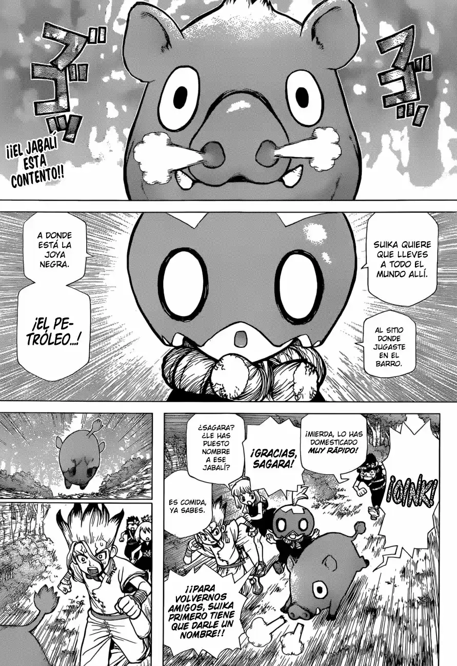 Dr.Stone - Capítulo 95 - Página 4 - LectorTMOo